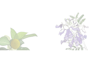 Urban Plantation & Green Mapping Workshop